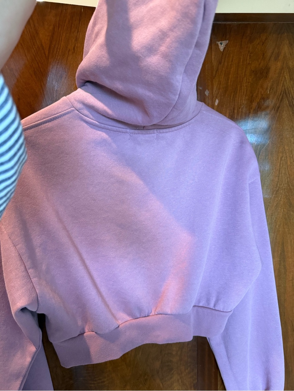 True Religion Dusty Rose Crystal Rhinestone Cropped Pullover Hoodie Shrunken - Picture 7 of 11